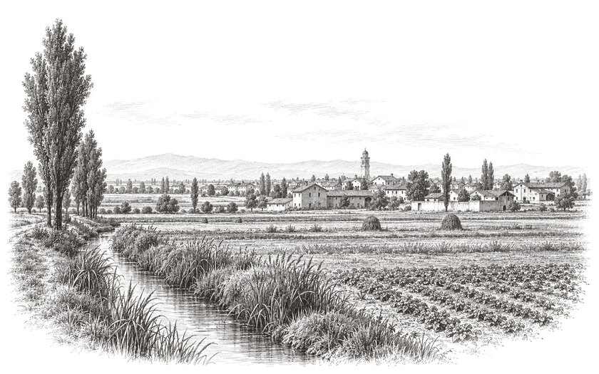 Drawing of fields, poplars and an irrigation ditch around Travagliato on the Brescia plain.