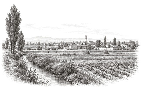 Drawing of fields, poplars and an irrigation ditch around Travagliato on the Brescia plain.