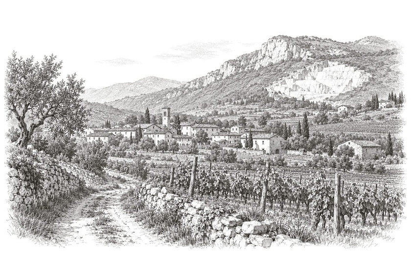 Drawing of vineyards and stone walls around Botticino Mattina, with limestone hills and a quarry beyond.