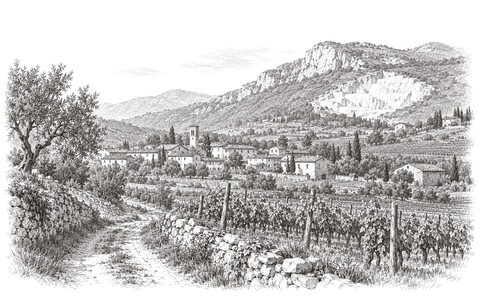 Drawing of vineyards and stone walls around Botticino Mattina, with limestone hills and a quarry beyond.