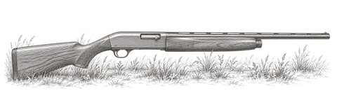 Drawing of a semi-automatic shotgun in low grass, from the right, with its ejection port visible.