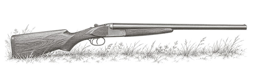 Drawing of a side-by-side shotgun in low grass, from the right.